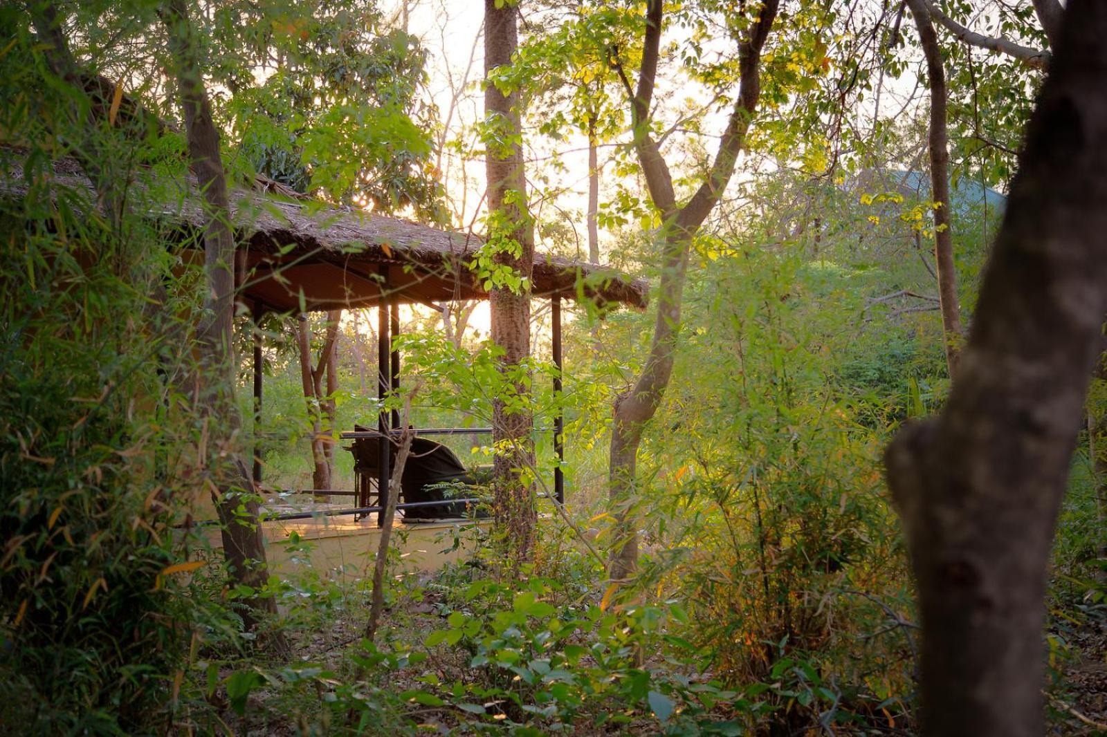 Jim'S Jungle Retreat Hotel Rāmnagar Eksteriør billede