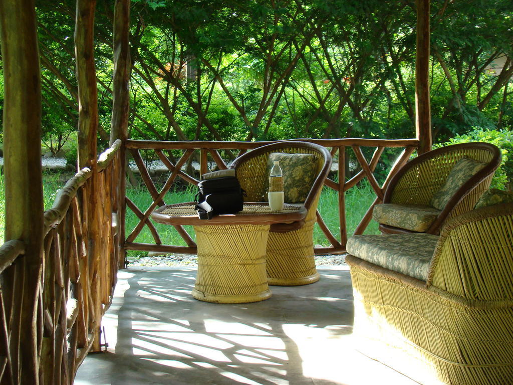 Jim'S Jungle Retreat Hotel Rāmnagar Værelse billede