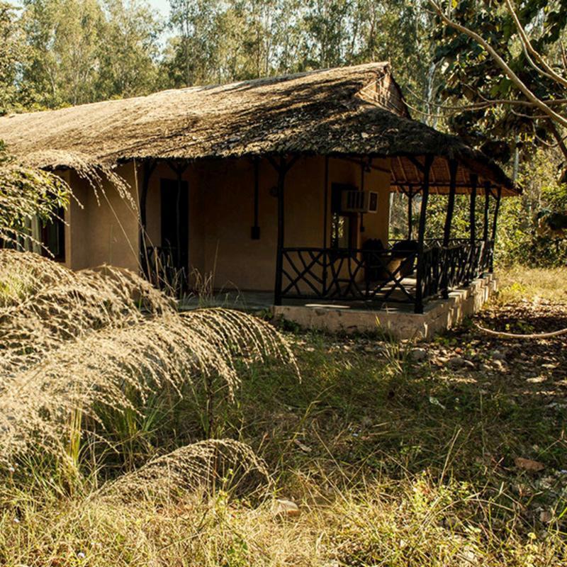 Jim'S Jungle Retreat Hotel Rāmnagar Eksteriør billede