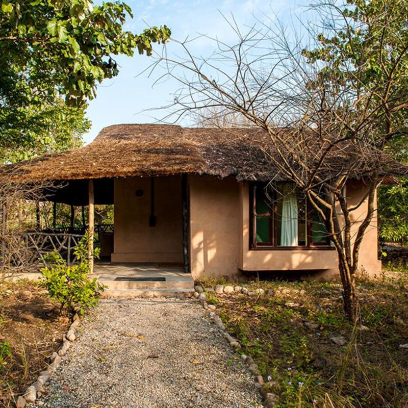 Jim'S Jungle Retreat Hotel Rāmnagar Eksteriør billede