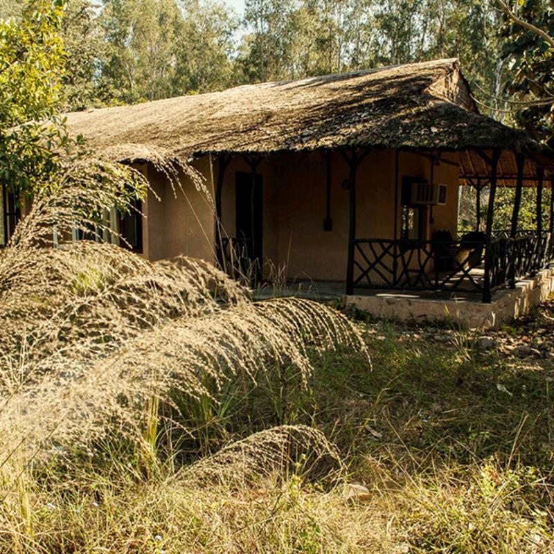 Jim'S Jungle Retreat Hotel Rāmnagar Eksteriør billede