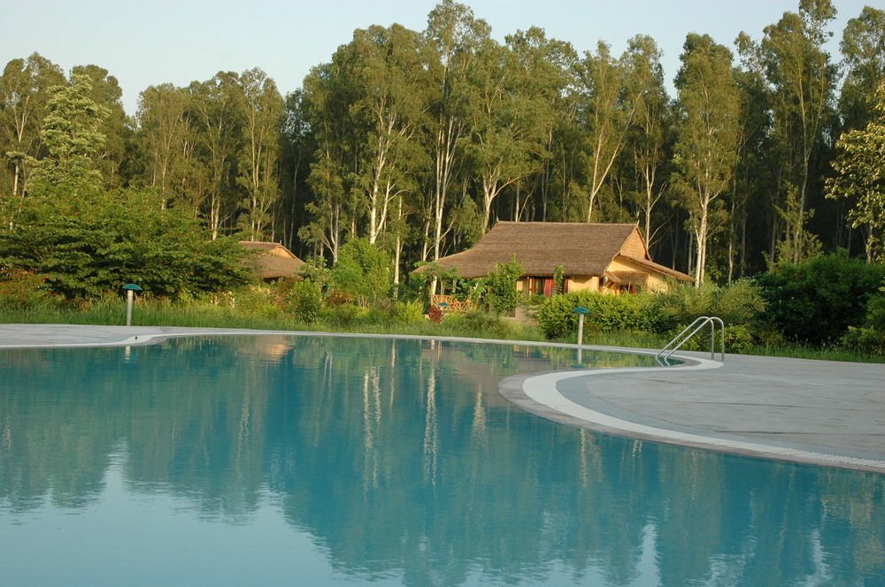 Jim'S Jungle Retreat Hotel Rāmnagar Eksteriør billede