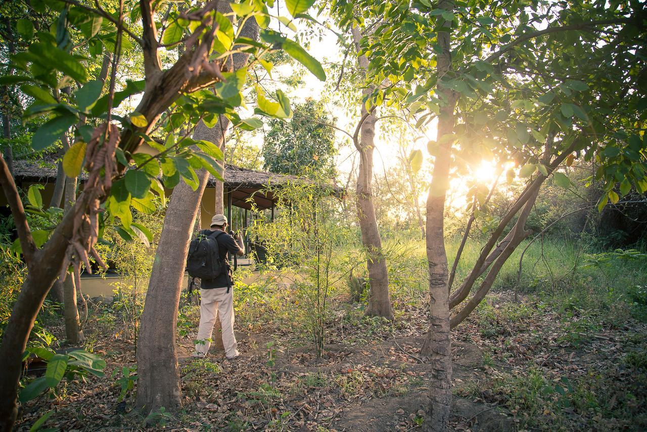 Jim'S Jungle Retreat Hotel Rāmnagar Eksteriør billede