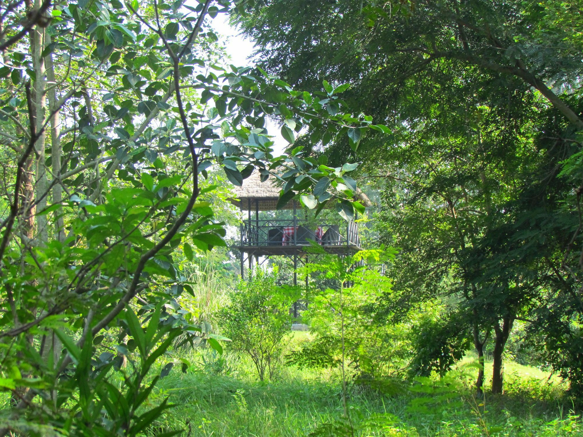 Jim'S Jungle Retreat Hotel Rāmnagar Eksteriør billede