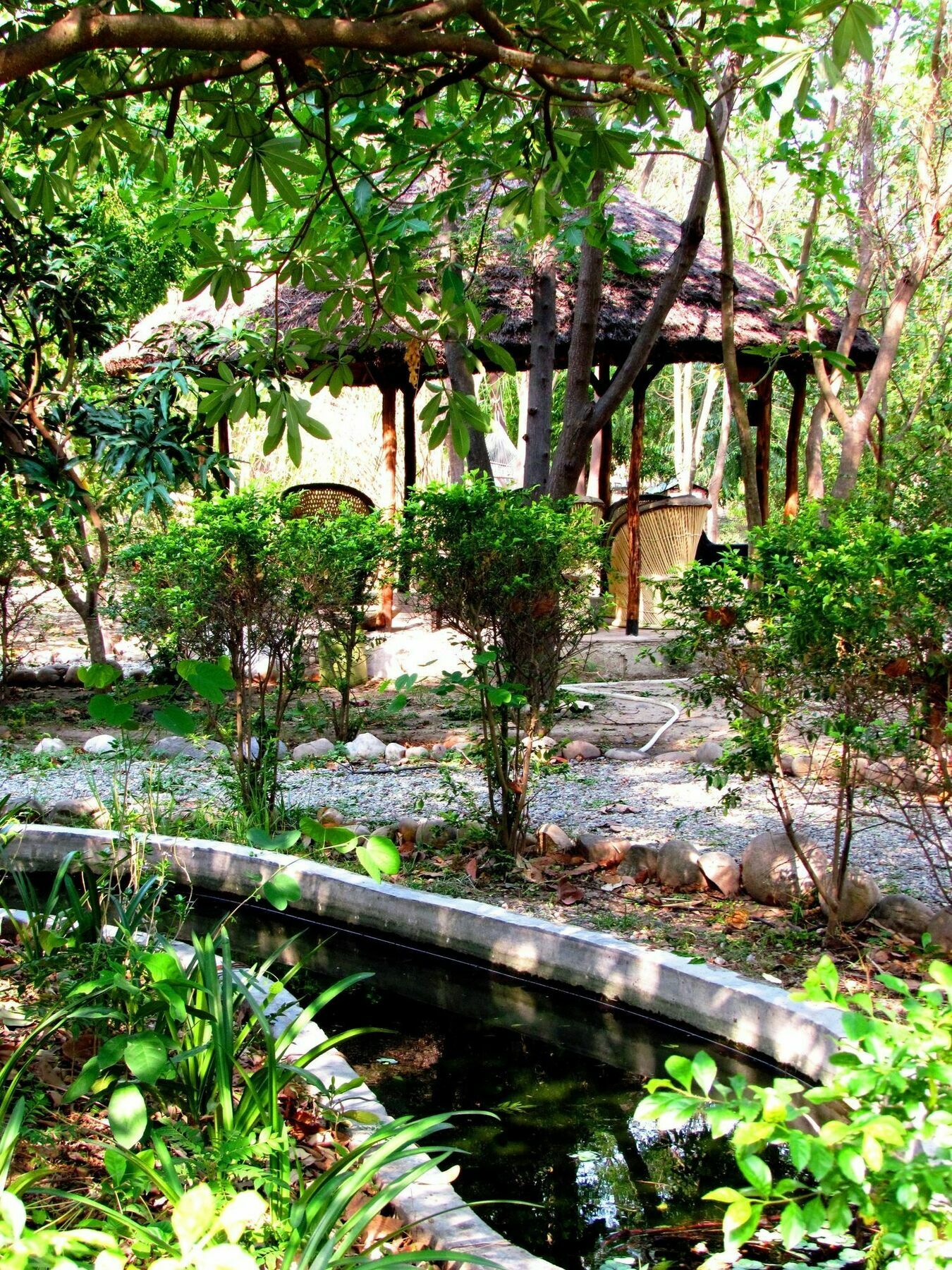 Jim'S Jungle Retreat Hotel Rāmnagar Eksteriør billede